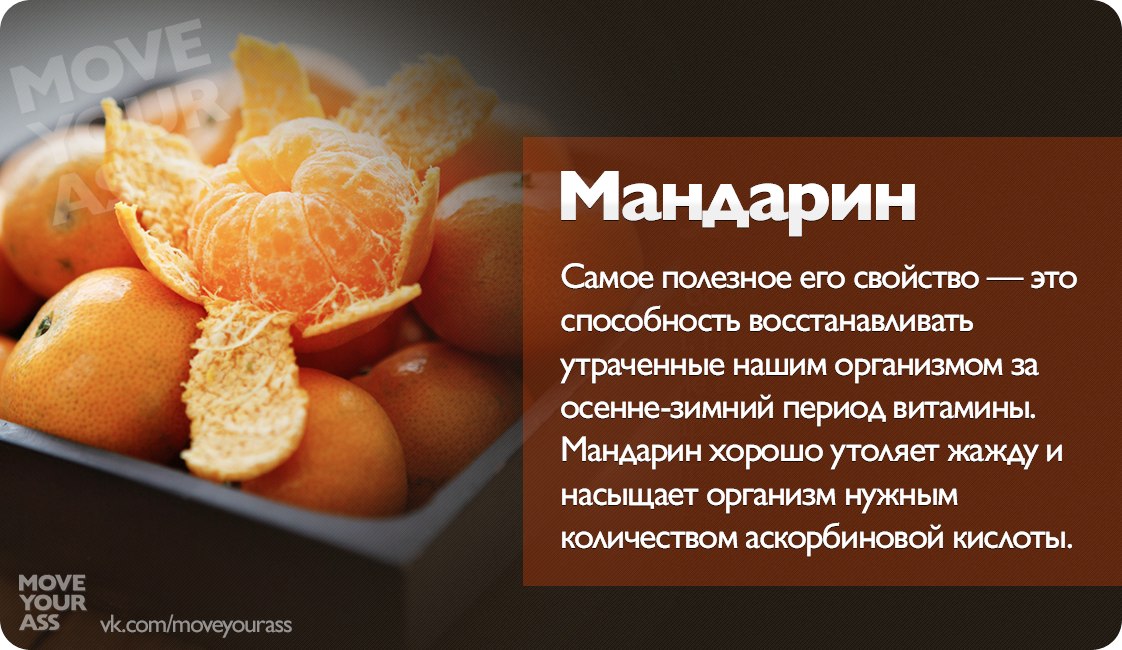 Чем полезен и вреден мандарин для организма, правила употребления