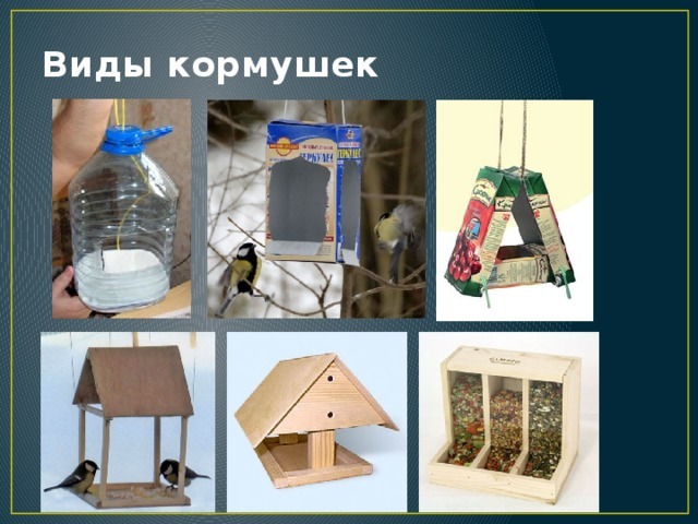 Съедобная кормушка для птиц: как сделать своими руками экологические кормушки из хлеба или из зерен с желатином?