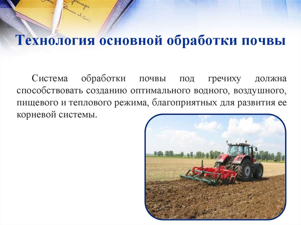 Цель и требования к обработке почвы под кукурузу