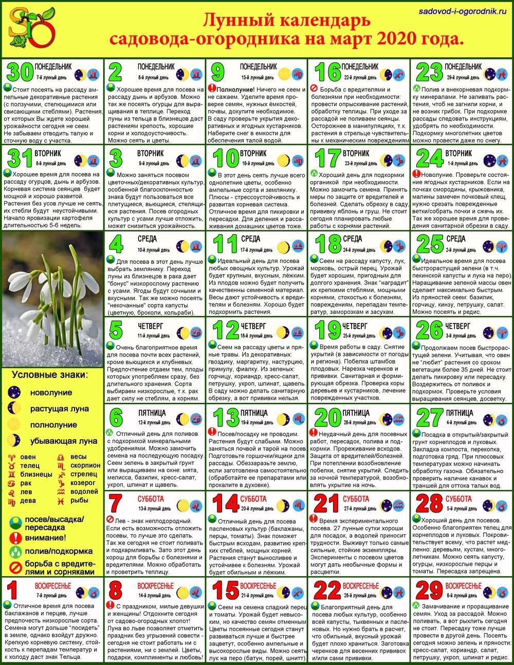 Календарь садовода на год. Лунный календарь на март 2020 садовода и огородника. Лунный посадочный календарь на октябрь 2021 года. Лунный посевной календарь на октябрь 2021 года. Лунный календарь на май посевной для рассады.
