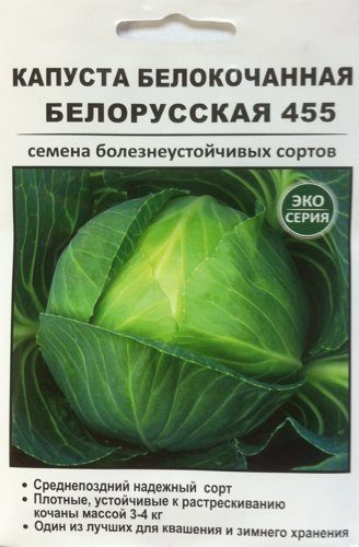 Капуста белорусская 455: характеристика и описание среднепозднего сорта с фото