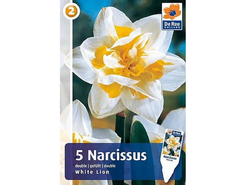 Нарцисс маунт худ: описание и характеристики сорта, посадка, уход и размножение