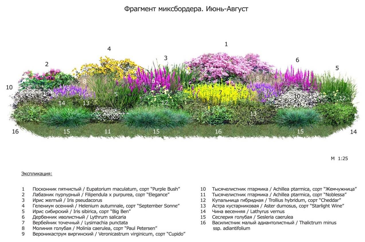 Вересковый сад план