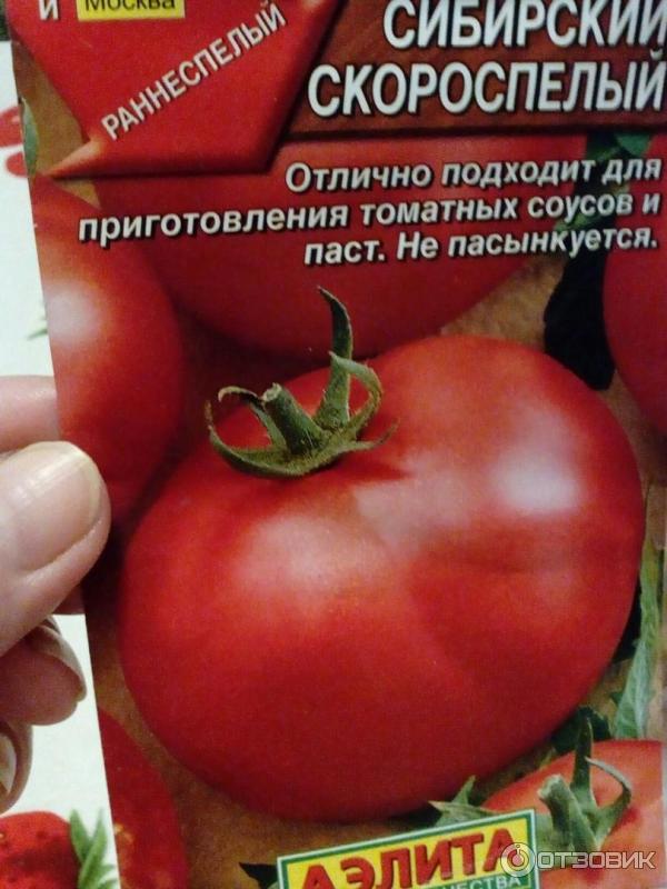Характеристика томата Ленинградский скороспелый и техника выращивания