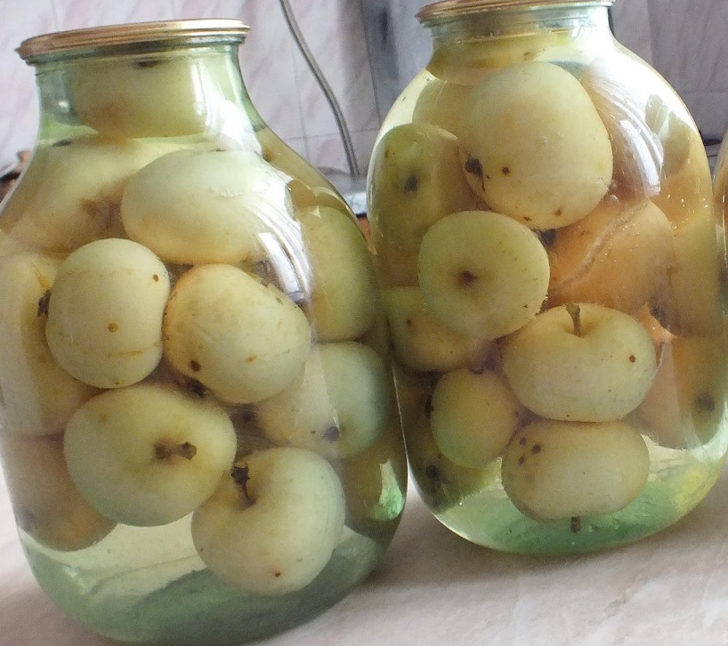 5 вкусных рецептов приготовления компота из яблок Белый налив на зиму
