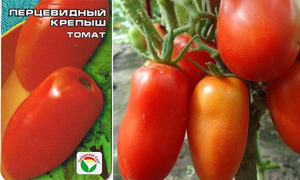 Что такое штамбовые томаты и описание лучших сортов