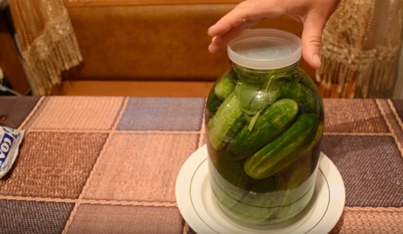Засолить огурцы на зиму холодным способом, хрустящие, вкусные, рецепт с фото