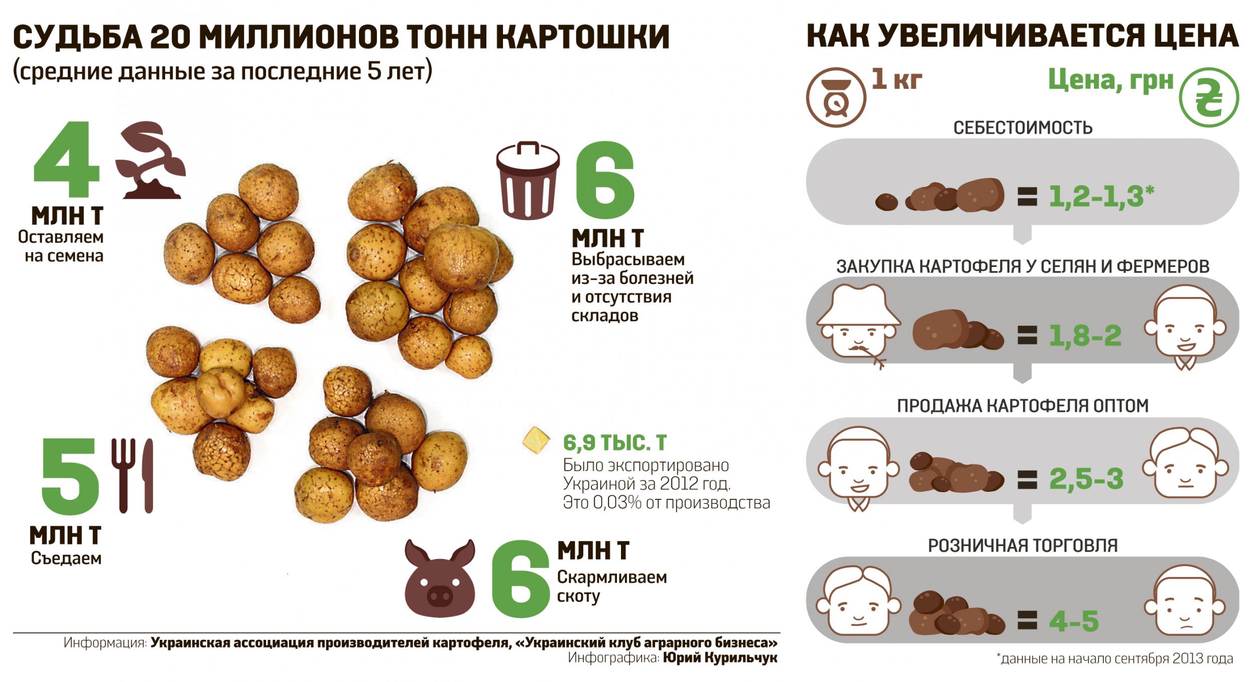 Бизнес-план выращивания картофеля: с нуля, на 1 га, 10 га, с чего начать, пошаговая инструкция