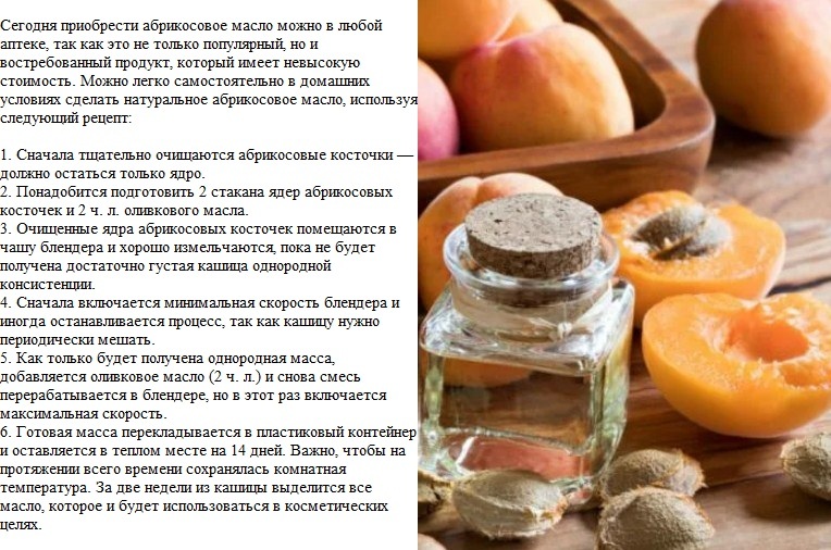 Вред и польза абрикосовых косточек (24 фото): полезные свойства и противопоказания ядер, как принимать их от рака, отзывы