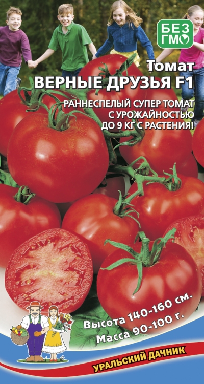 Томат подарочный: описание сорта, фото, отзывы