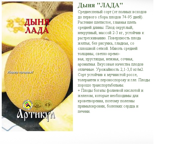 Дыня кассаба (зимняя): описание сорта, фото зеленых и спелых плодов, особенности выбора и выращивания