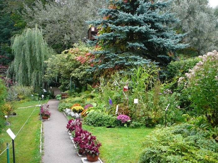Ботанический сад твери — официальный сайт, часы работы, цена билета, фото, отзывы, отели рядом на туристер.ру