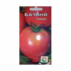 Неприхотливый раннеспелый сорт томата «батяня»: описание и характеристика