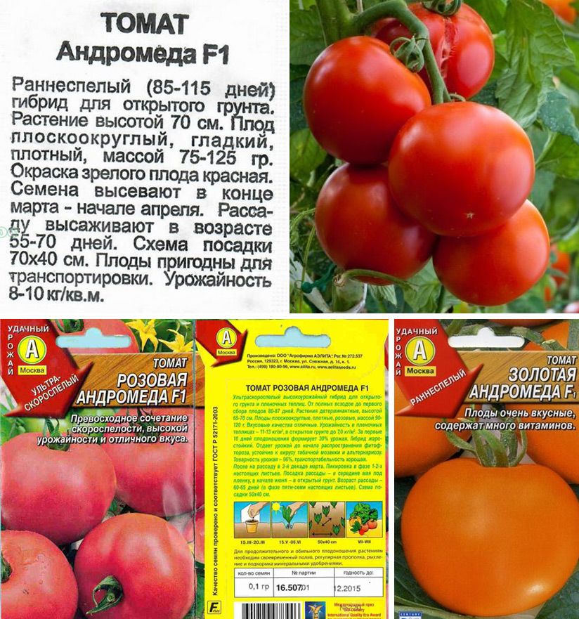 Каталог томатов | tomatland.ru