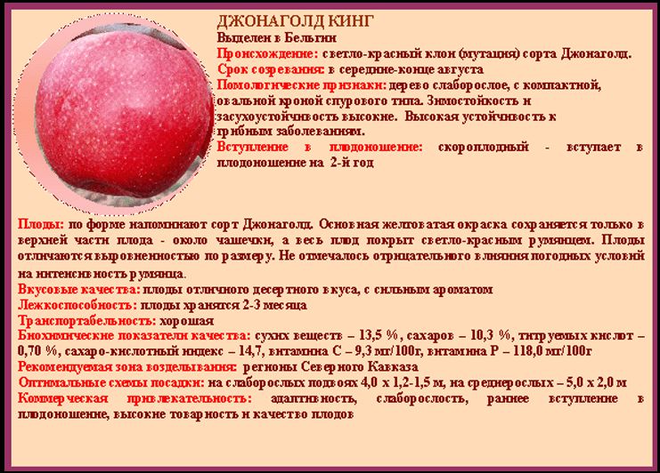 Описание сорта яблони баргузин: фото яблок, важные характеристики, урожайность с дерева