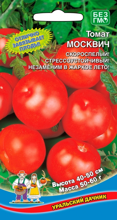 Томат москвич: отзывы, фото – дачные дела