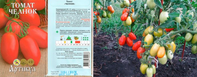 Лучшие сорта штамбовых томатов для открытого грунта и теплиц