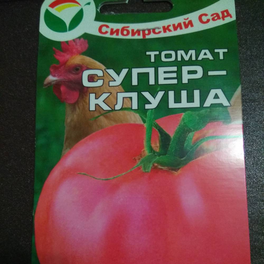 Томат "клуша": характеристика и описание сорта помидор, отзывы и фото, урожайность