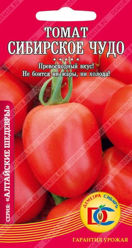 Томат сибирское чудо: описание сорта, как выращивать, фото русский фермер