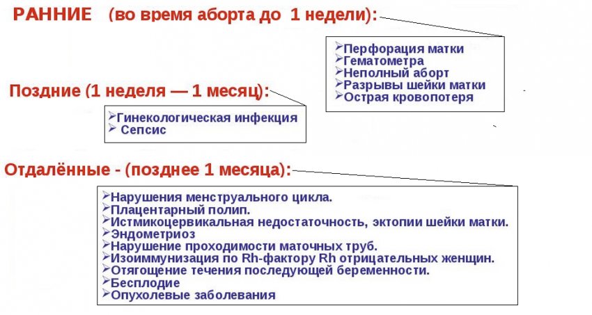 Свойства плодов и ягод шиповника при беременности