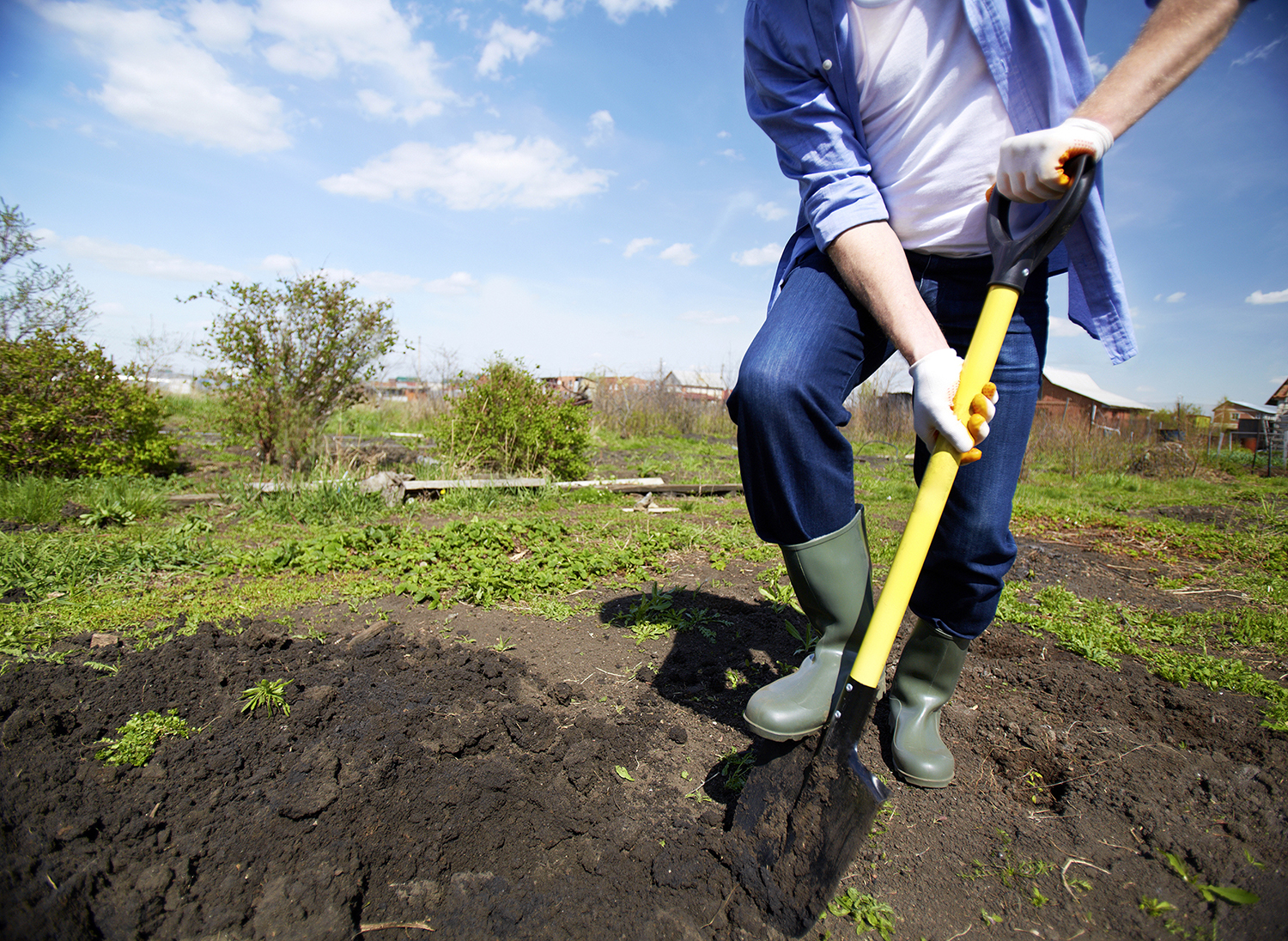 Хватит копать грядки! 5 причин облегчить себе жизнь на даче. как повысить плодородие почвы без перекопки