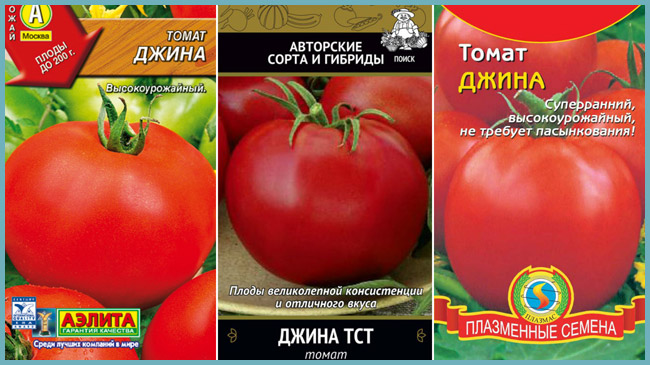 Самые ранние сорта томатов, их описание и отличительные характеристики