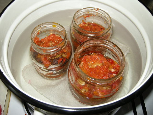 17 вкусных рецептов приготовления на зиму приправы огонек из помидор