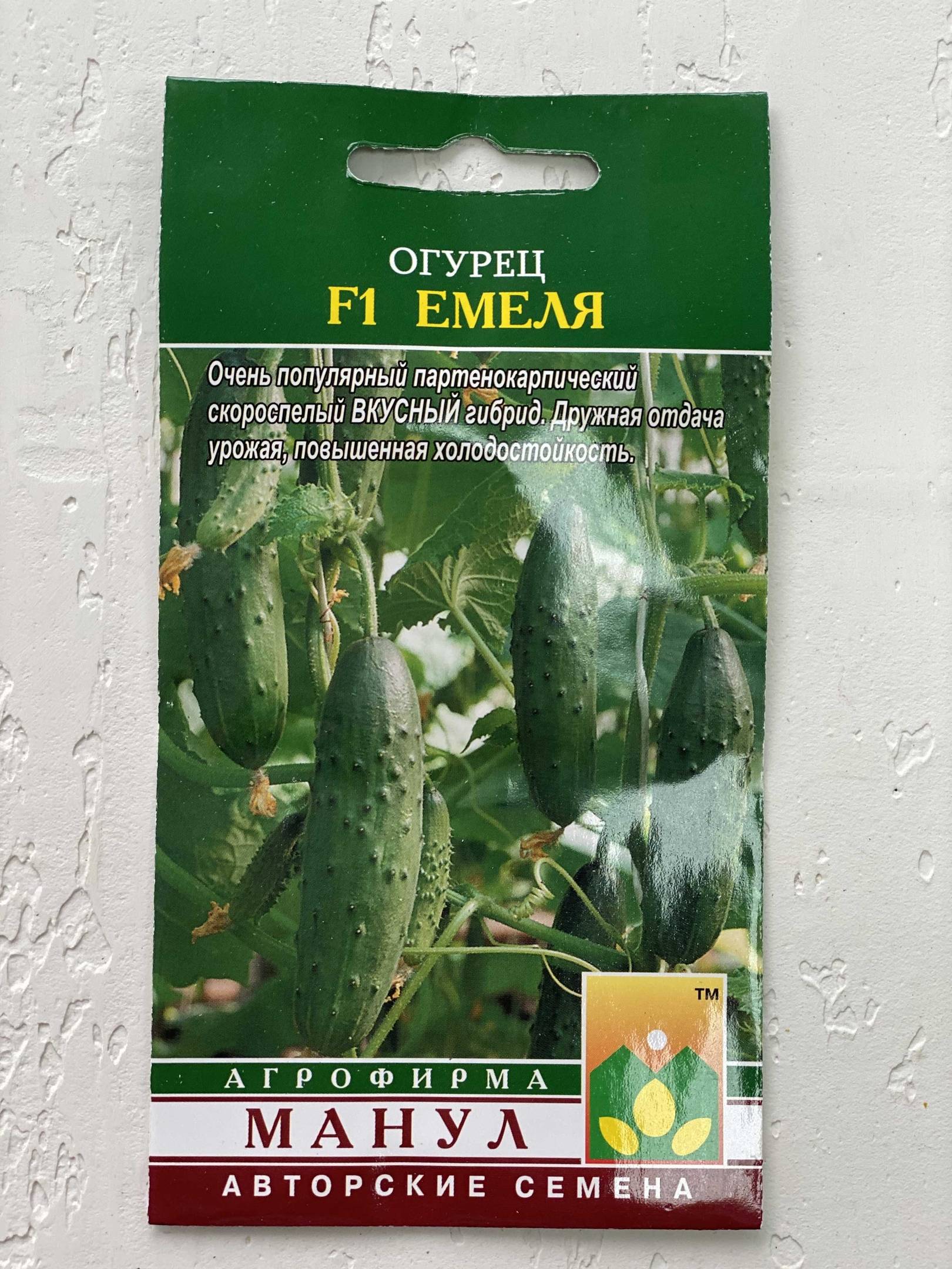 Описание огурцов емеля f1 и выращивание рассадным методом в теплице