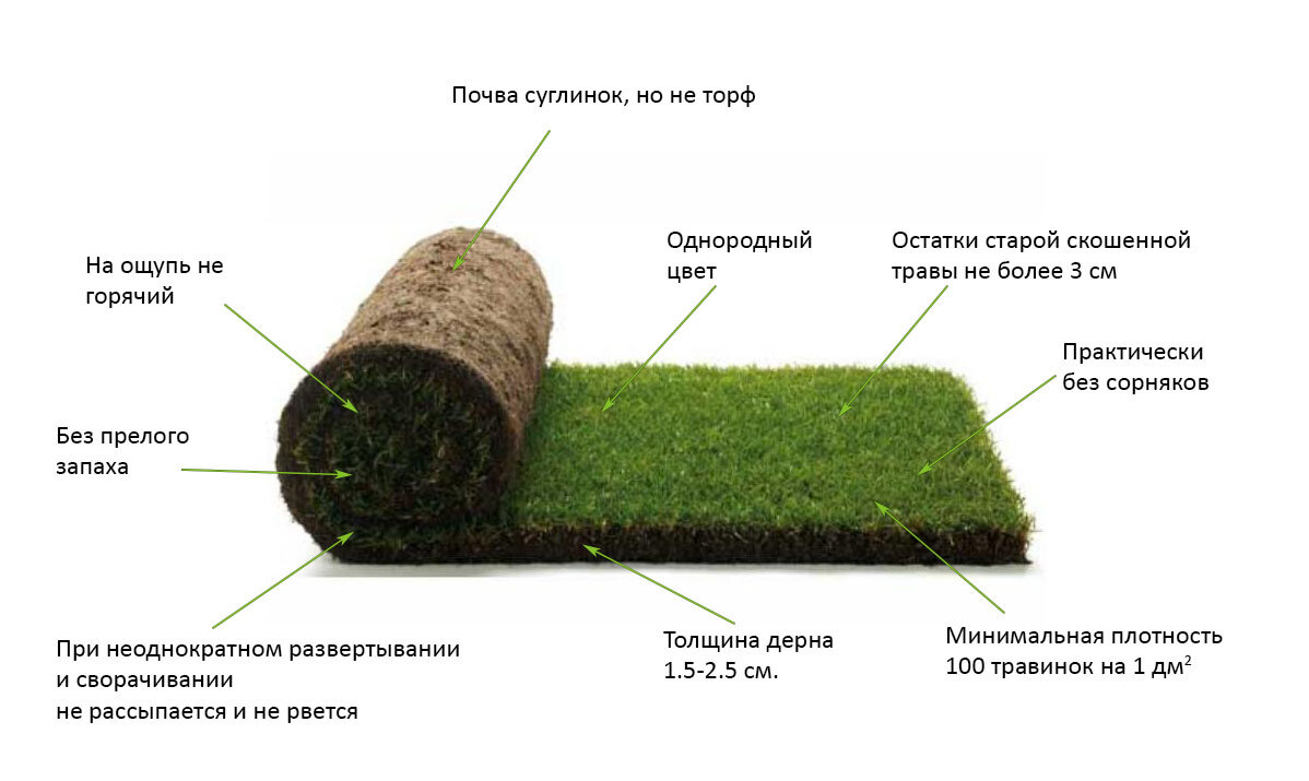 Разновидности искусственного газона и способы его укладки