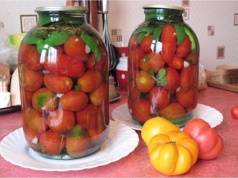 Через сколько можно есть маринованные помидоры: сроки для употребления заготовок