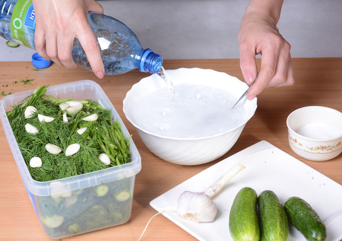 Как сделать малосольные огурцы в домашних условиях быстро и вкусно - 13 лучших рецептов