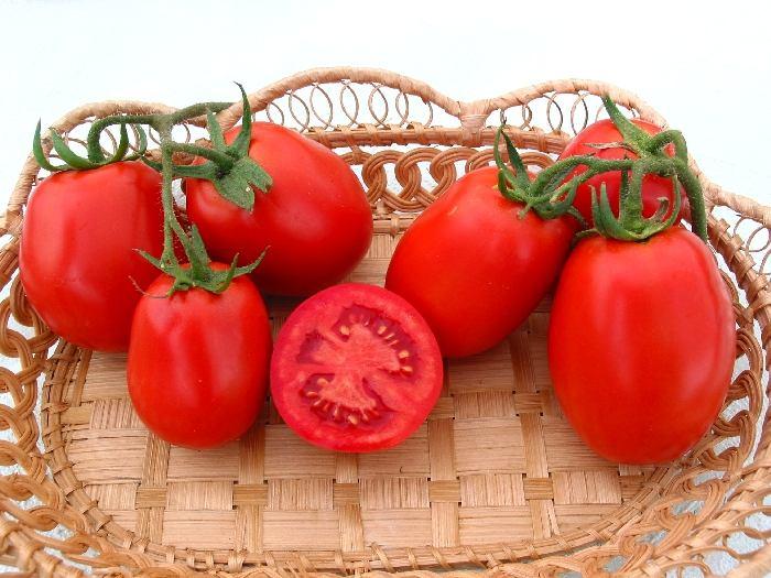 Томат домашний разносол: характеристика и описание сорта, отзывы об урожайности помидоров, фото куста