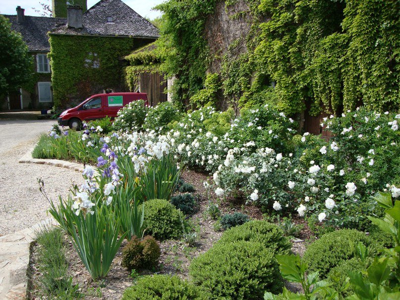 Как оформить белый цветник в саду: советы цветоводов, варианты