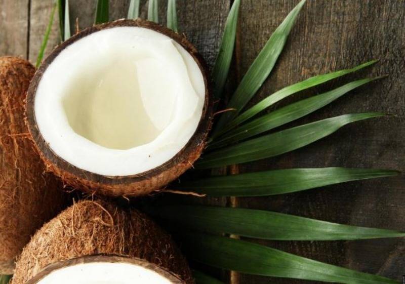 Мякоть кокоса: польза и вред, состав | пища это лекарство