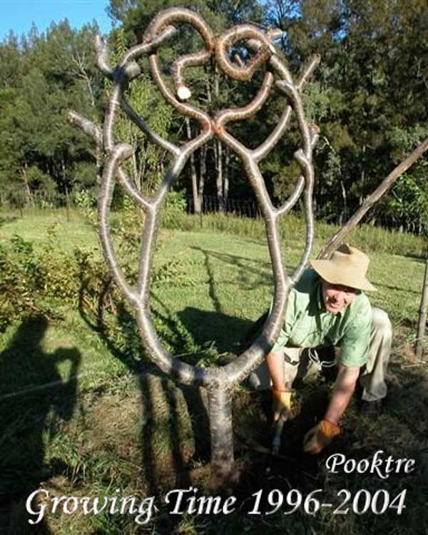 Арбоскульптура: фантазийные изделия из стволов деревьев