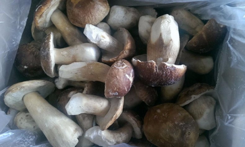 Как правильно заморозить белые грибы на зиму, лучшие рецепты приготовления