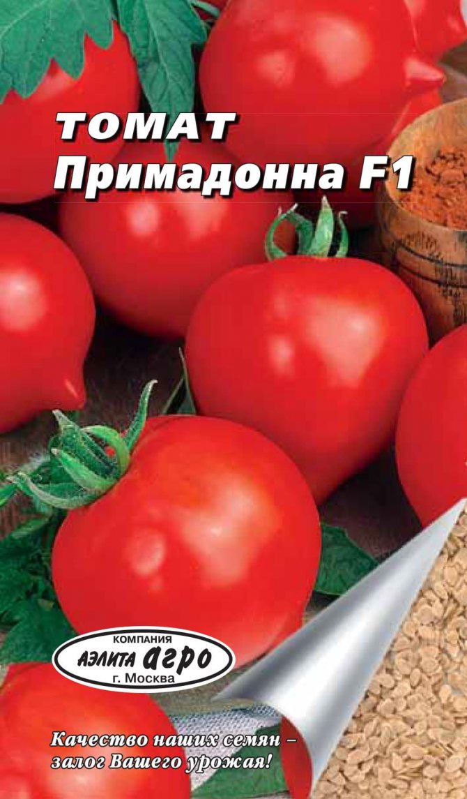Описание сорта томата Примадонна, особенности выращивания и ухода