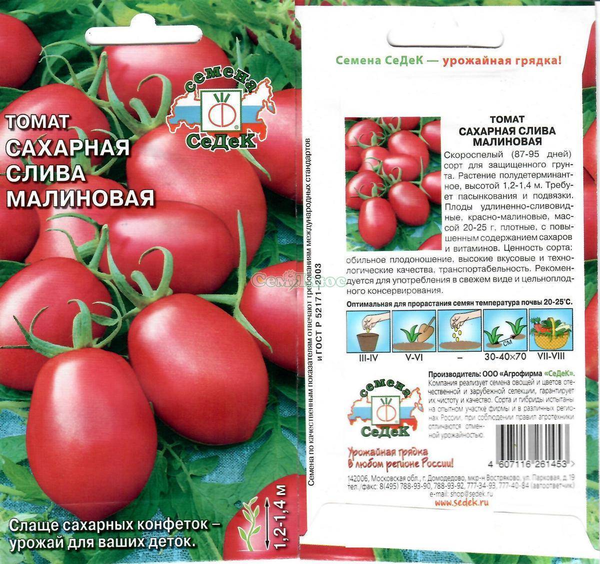 Томаты «пудовичок сахарный»: описание и характеристики сорта, уход за помидорами и фото