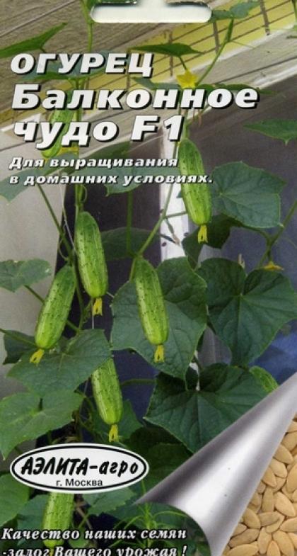 Огурец балконное чудо f1 описание с фото выращивание
