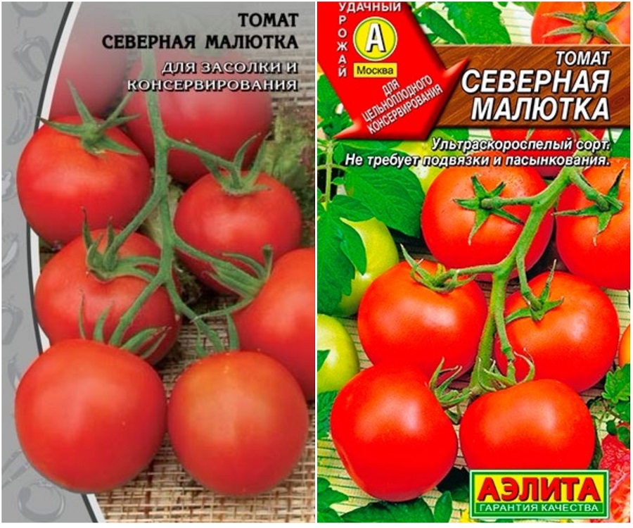 Описание томата Северная малютка и рекомендации по выращиванию сорта
