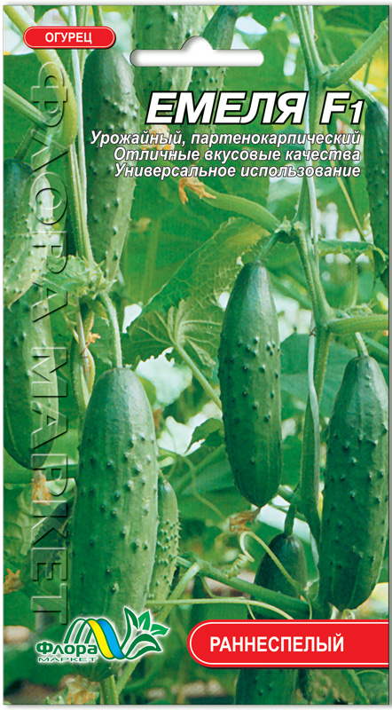 Огурец мэлс f1: описание сорта, отзывы и урожайность, фото
