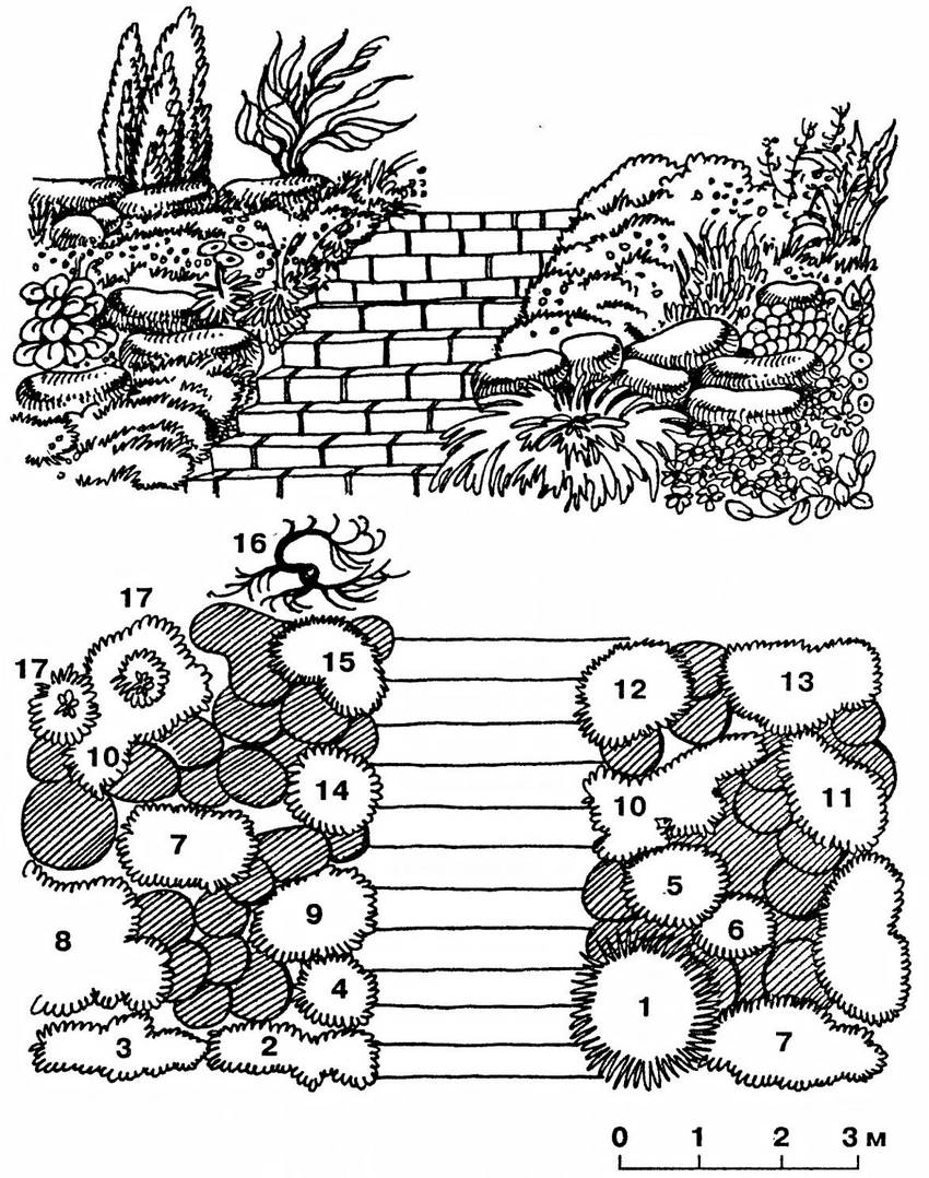 Рокарий схема расположения камней и растений
