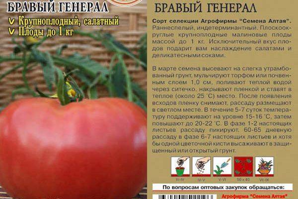 Описание сорта томата казачка и его характеристики – дачные дела