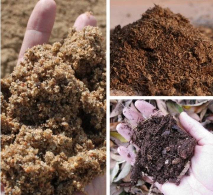 Почва для гортензии: как подкислить грунт? какую землю любит? как полить землю лимонной кислотой? пропорции