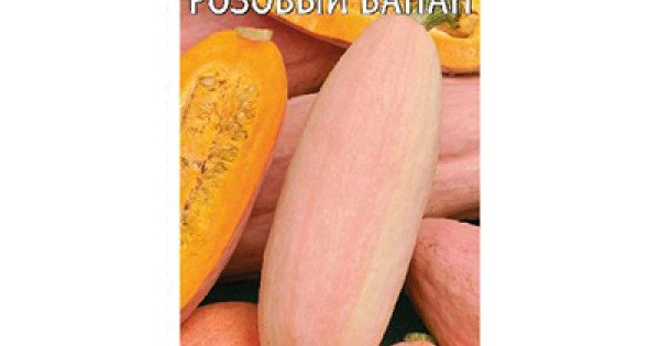 Описание длинноплодной тыквы Розовый банан и агротехника выращивания