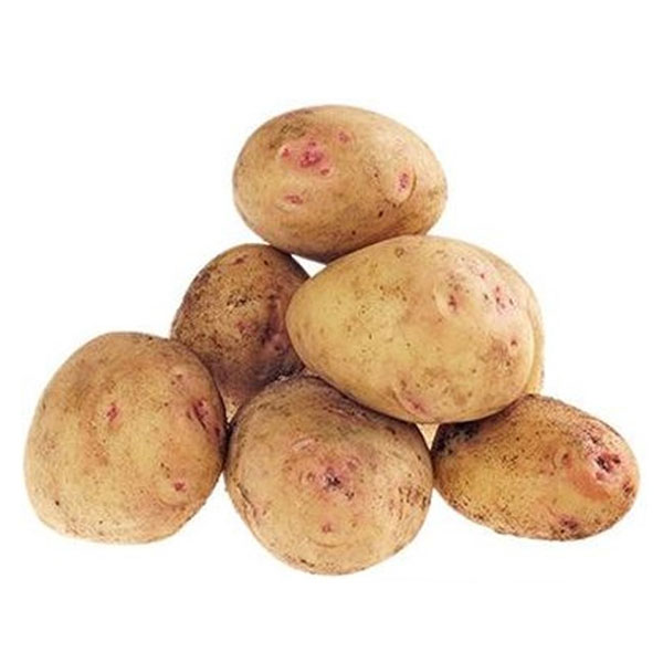 Картошка «синеглазка»: характеристика, агротехника выращивания