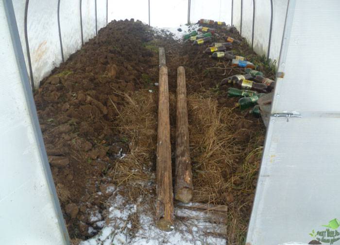 Как подготовить почву весной в теплице под помидоры и чем обработать перед посадкой