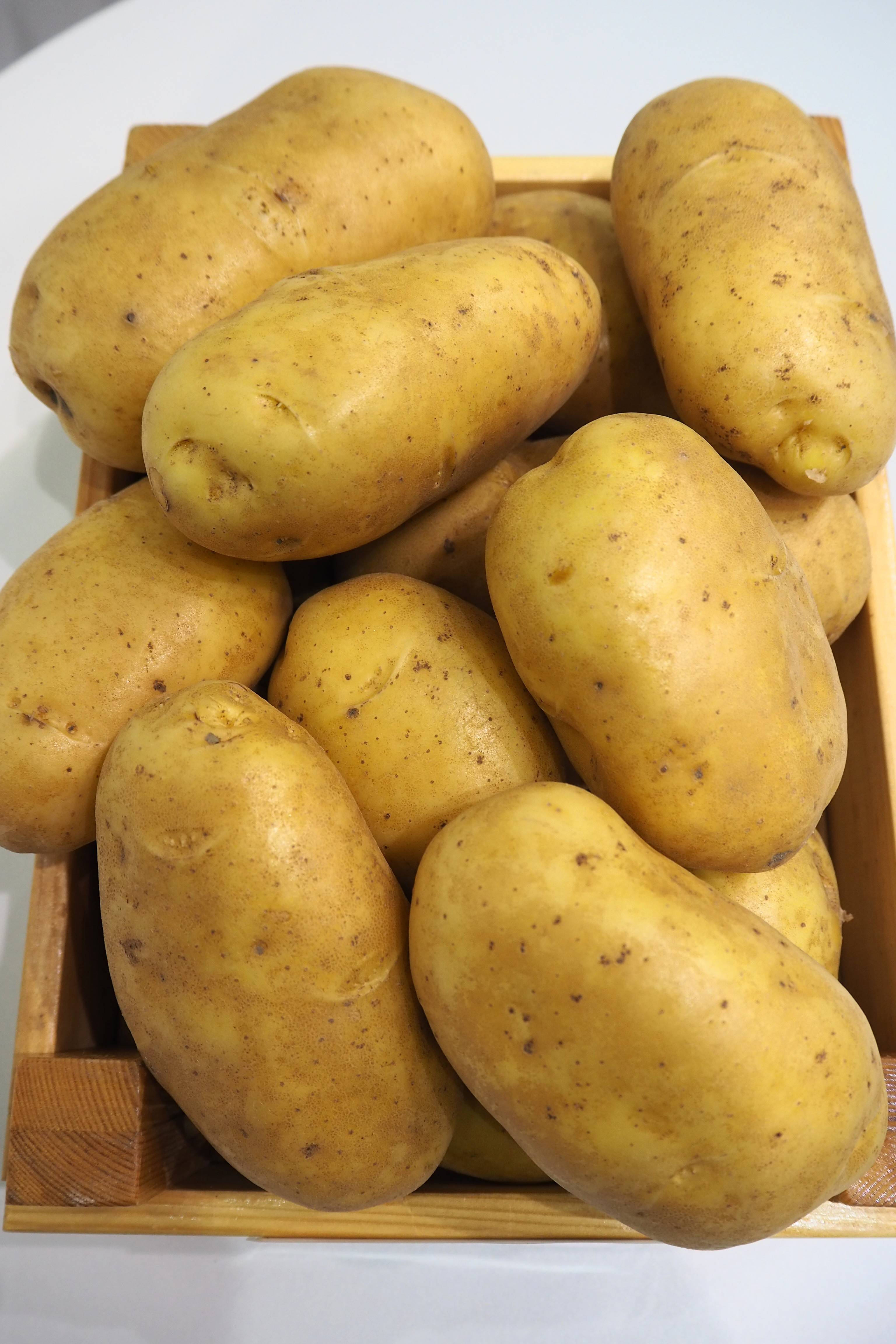 Картофель любава – описание сорта, фото, отзывы
