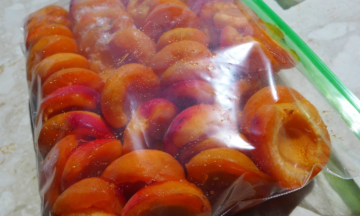 Как заморозить абрикосы на зиму в морозилке: свежими, рецепты с сахаром, как и сколько хранить заготовки