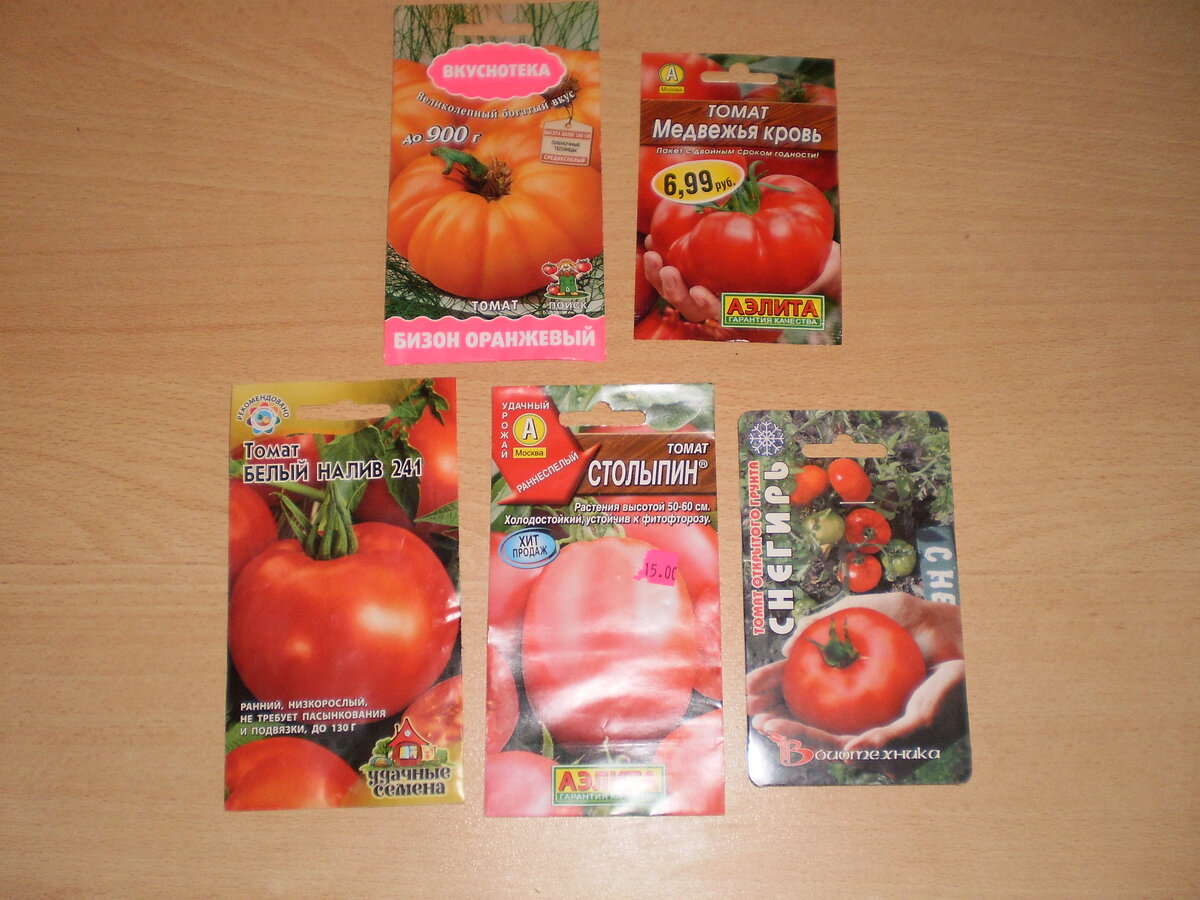Обзор лучших сортов помидоров для витебской области
